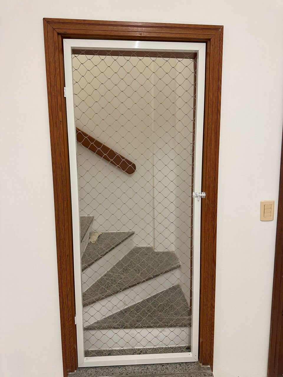 miau-seguro-redes-de-protecao-10