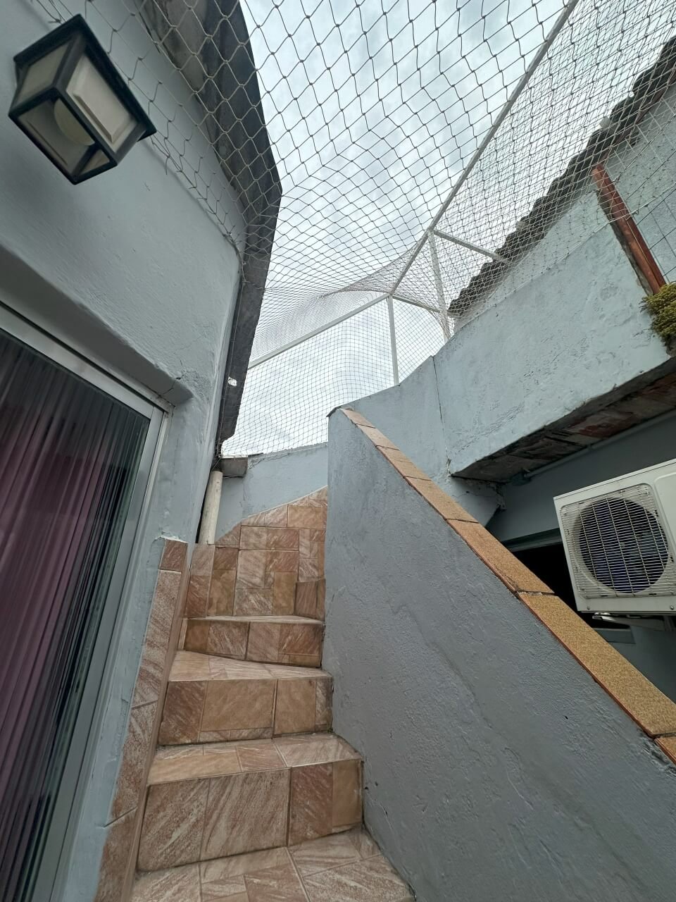 miau-seguro-redes-de-protecao-14