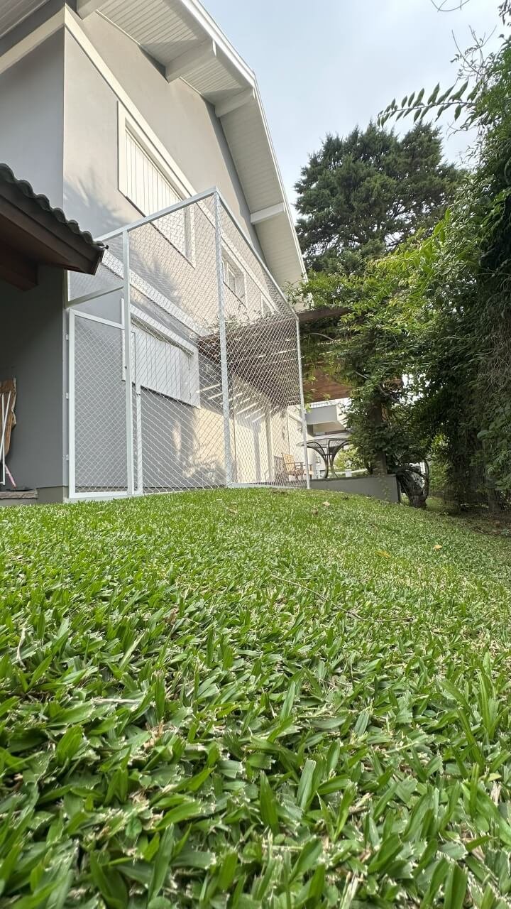 miau-seguro-redes-de-protecao-16