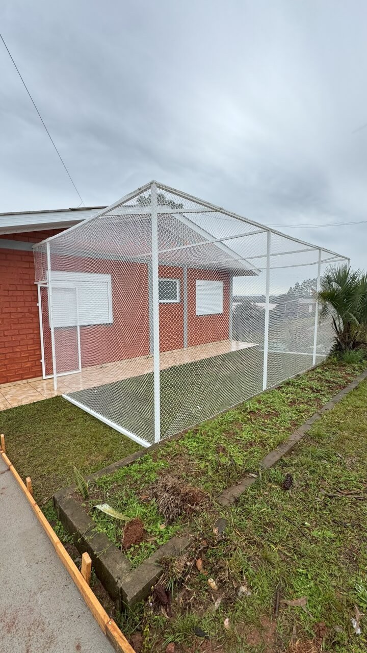 miau-seguro-redes-de-protecao-18