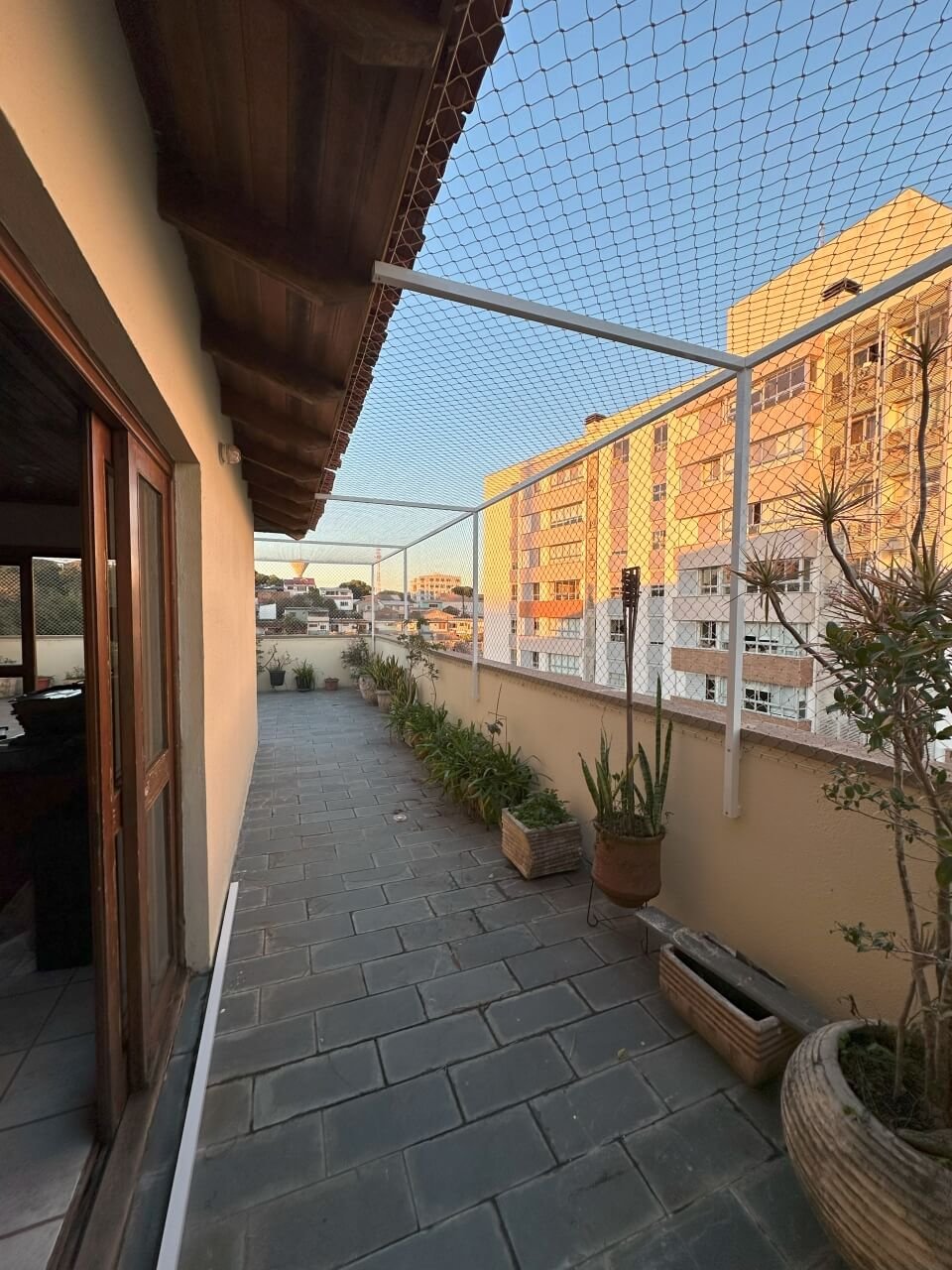 miau-seguro-redes-de-protecao-4