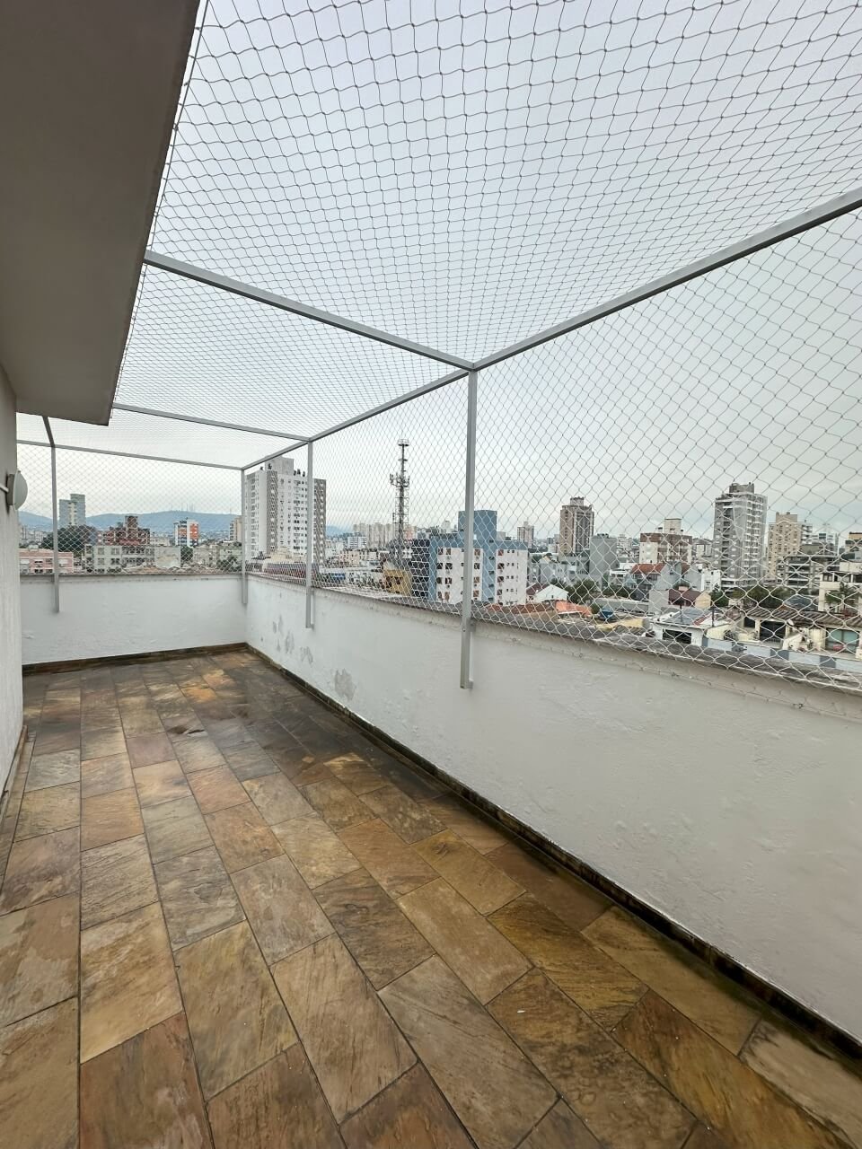 miau-seguro-redes-de-protecao-7