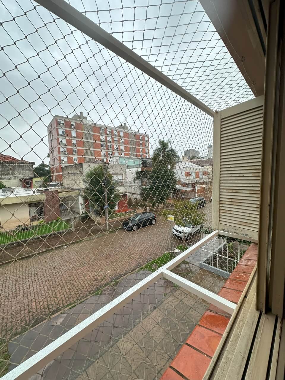 miau-seguro-redes-de-protecao-9